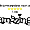 The buying experience wasn't just 5 stars, it was amazing